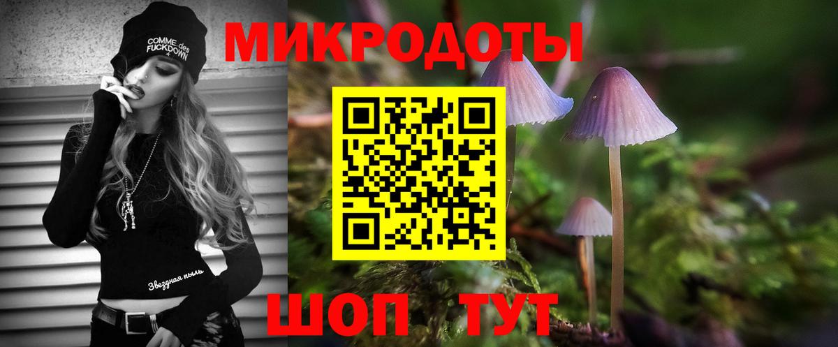 Галлюциногенные грибы ЛСД Михайловка